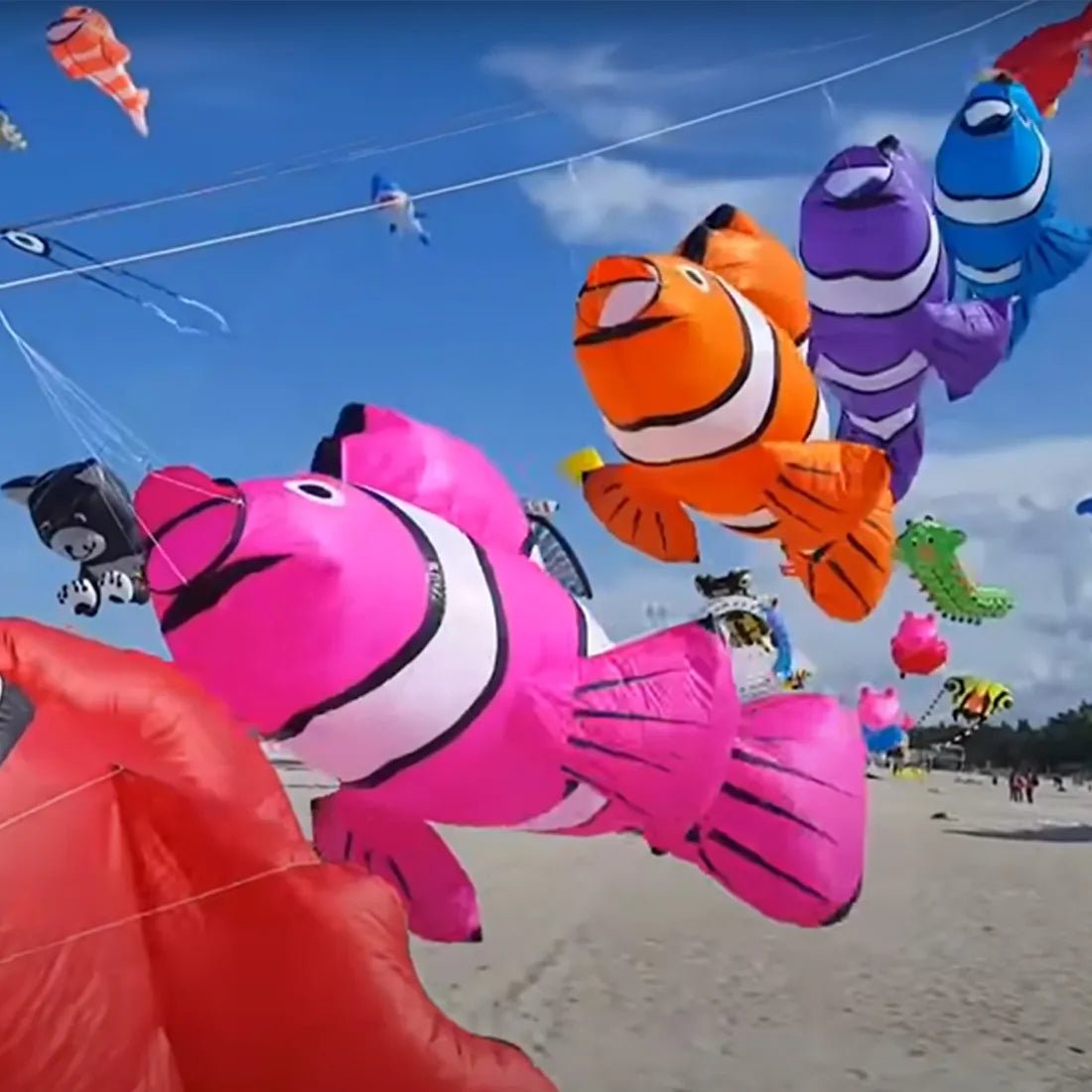 Colored Clownfish WindKites - Vibrant Skybound Fun - Lets Go Fly Kites