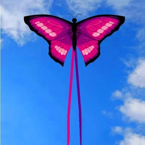 Kids' Butterfly Kite - Colorful Flutter and Fun - Lets Go Fly Kites