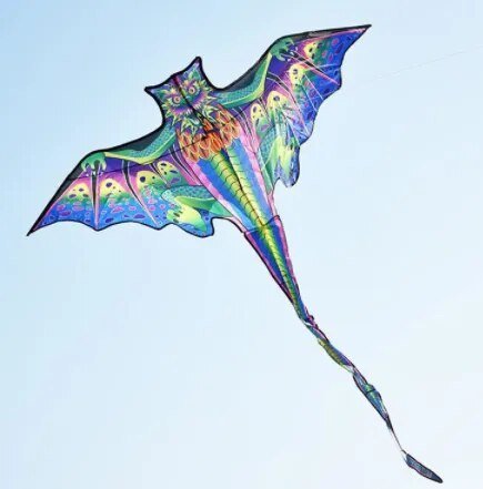 Kids' Fantasy Kite - Lets Go Fly Kites