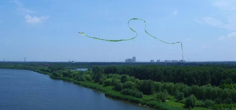 King Cobra Kite - Majestic Serpent in the Sky - Lets Go Fly Kites