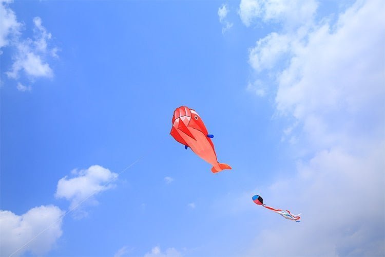 Majestic Whale Kite - Lets Go Fly Kites