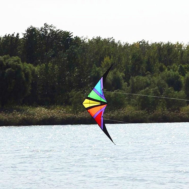 The Albatross - Dual line stunt kites - Lets Go Fly Kites