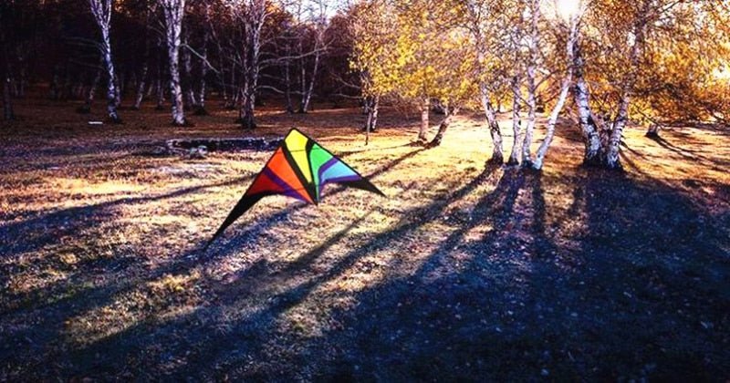 The Albatross - Dual line stunt kites - Lets Go Fly Kites